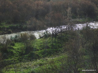 lle del Simeto-24-02-2013 09-57-43